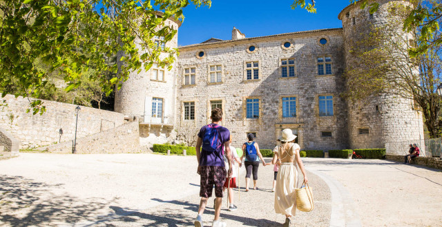Château de Vogüé