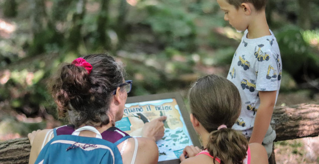 Panneau Sentier Enfant Sauvage
