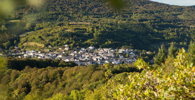 Lacaune