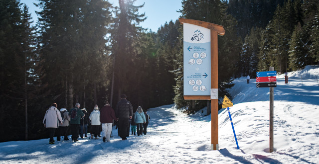 OT Karellis - hiver 2025