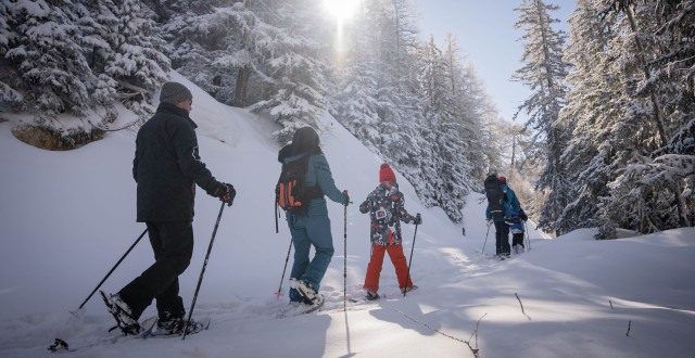 Montalbert_Hiver_2022_Raquette_A.ABONDANCE-10 Montalbert_Hiver_2022_Raquette_A.ABONDANCE-10