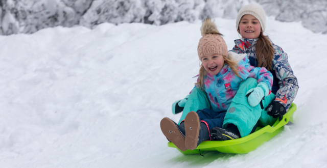 luge-super-besse luge-super-besse