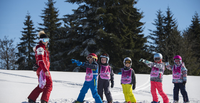 photo piou piou photo piou piou